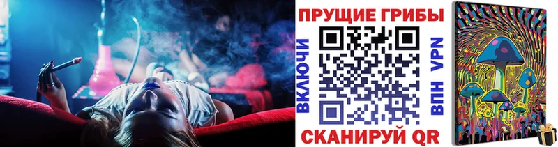 дарнет шоп  Елабуга  Галлюциногенные грибы прущие грибы 