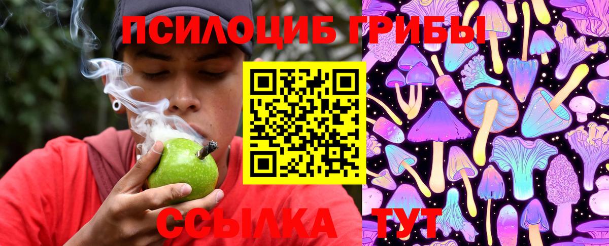 Елабуга  Псилоцибиновые грибы мицелий  Вход с VPN 