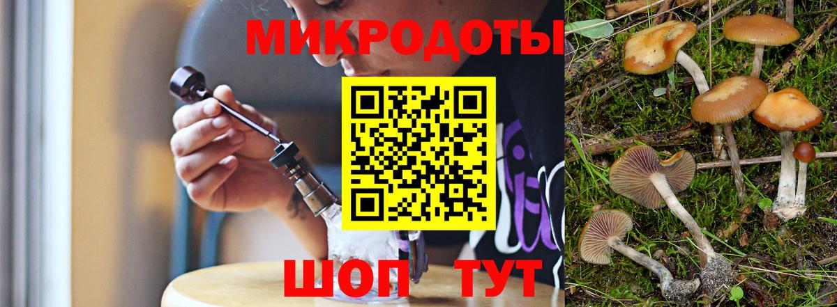 Галлюциногенные грибы MAGIC MUSHROOMS Елабуга